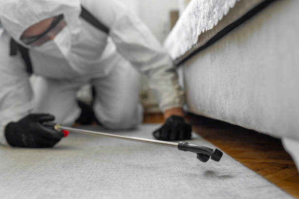 Professional Cockroach Control technician working in Breckenridge Hills, MO