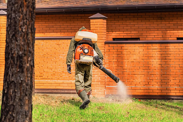 Trusted Rodent Control service in Breckenridge Hills, MO - Nex Pest Control